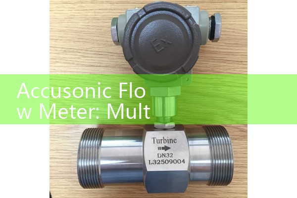 Flow meter maintenance